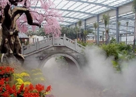 دکوراسیون باغ، چشمه ای روشن، چشمه مه و مه آلود در محیط داخلی تامین کننده